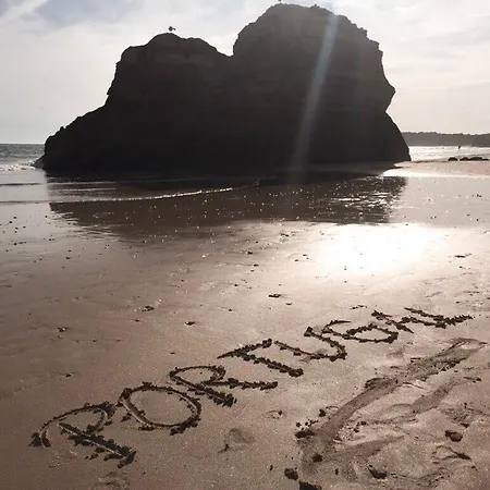 New Stunning Ocean Aprt In 